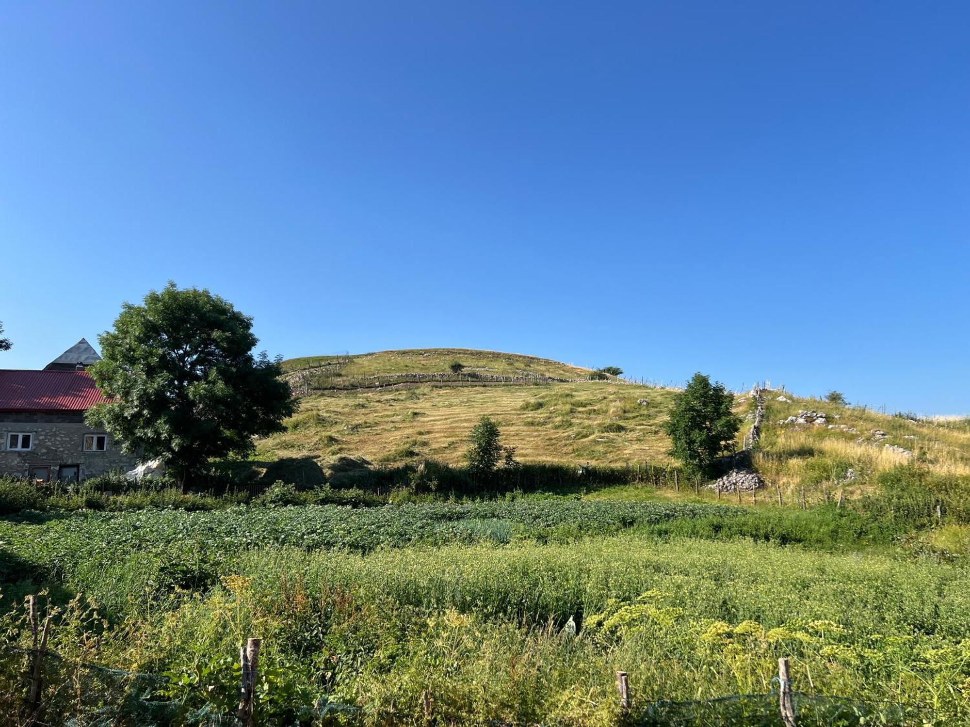 Kod Kapetana Tea Bed & Breakfast Gornji Lukomir Екстериор снимка